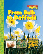 From Bulb to Daffodil - Weiss, Ellen