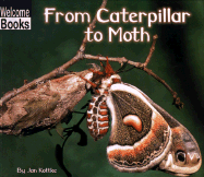 From Caterpillar to Moth
