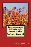 From Competence to Excellence in Gastroenterology: Small Bowel