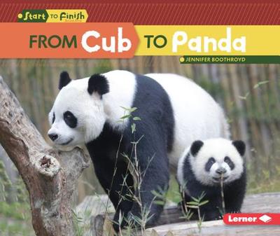 From Cub to Panda - Boothroyd, Jennifer