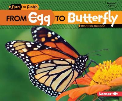 From Egg to Butterfly - Zemlicka, Shannon