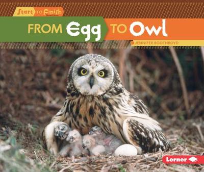 From Egg to Owl - Boothroyd, Jennifer