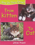 From Kitten to Cat
