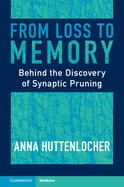 From Loss to Memory: Behind the Discovery of Synaptic Pruning