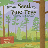 From Seed to Pine Tree: Following the Life Cycle