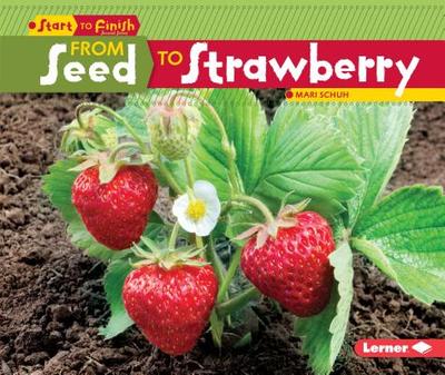 From Seed to Strawberry - Schuh, Mari C