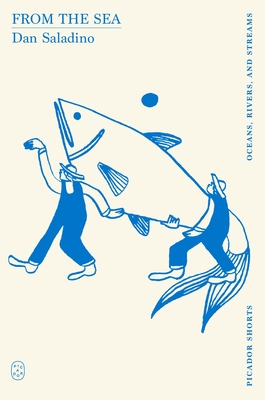 From the Sea (Picador Shorts) - Saladino, Dan