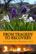 From Tragedy to Recovery 1--B&W: The Yarnell Hill Wildfire of 2013
