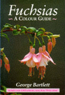 Fuchsias - A Colour Guide -H