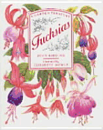 Fuchsias - Ridding, John