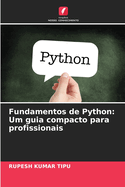 Fundamentos de Python: Um guia compacto para profissionais