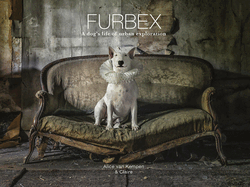 Furbex: A Dog's Life of Urban Exploration