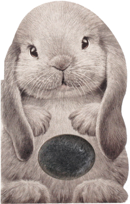 Furry Bunny - Auerbach, Annie