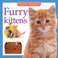 Furry Kittens