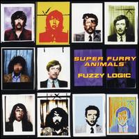 Fuzzy Logic: 20th Anniversary Deluxe Edition [LP] - Super Furry Animals