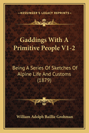 Gaddings With A Primitive People V1-2: Being A Series Of Sketches Of Alpine Life And Customs (1879)