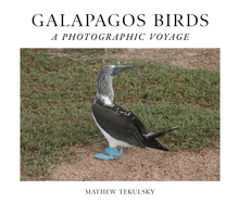 Galapagos Birds: A Photographic Voyage