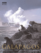 Galapagos - Stewart, Paul D.