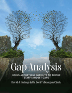 Gap Analysis: Using Archetypal Imprints to Bridge Staff Mindset Gaps