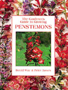 Gardener'S Guide - Penstemons