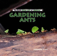 Gardening Ants