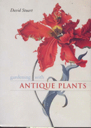 Gardening with Antique Plants - Stuart, David