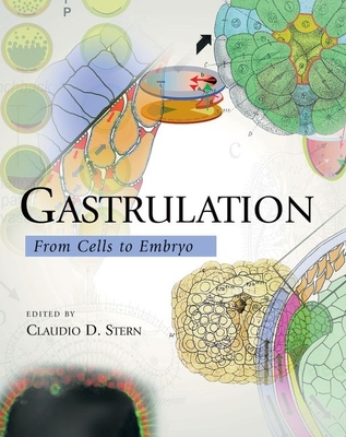 Gastrulation: From Cells to Embryo - Stern, Claudio (Editor)