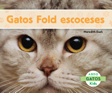 Gatos Fold Escoceses (Scottish Fold Cats)