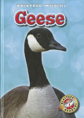 Geese - Borgert-Spaniol, Megan