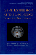 Gene Expression at the Beginning of Animal Development: Volume 12