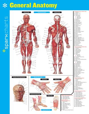 General Anatomy SparkCharts - SparkNotes