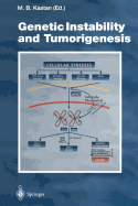 Genetic Instability and Tumorigenesis