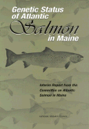 Genetic Status of Atlantic Salmon in Maine: Interim Report from the Committee on Atlantic Salmon in Maine