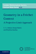 Geometry in a Fr?chet Context: A Projective Limit Approach