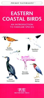 Georgia Birds: An Introduction to Familiar Species - Kavanagh, James, and Waterford Press
