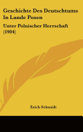Geschichte Des Deutschtums in Lande Posen: Unter Polnischer Herrschaft (1904)