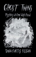 Ghost Twins: Mystery of One Wish Pond