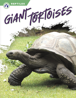 Giant Tortoises - Gendell, Megan