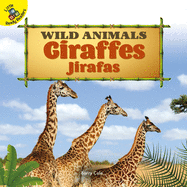 Giraffes: Jirafas