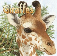 Giraffes - Purmell, Ann