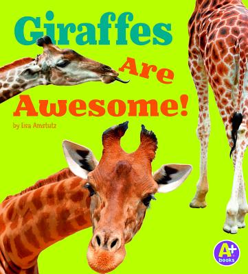 Giraffes - J. Amstutz, Lisa