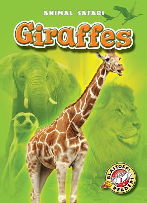 Giraffes - Schuetz, Kari