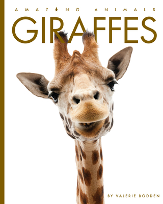 Giraffes - Bodden, Valerie