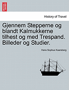 Gjennem Stepperne Og Blandt Kalmukkerne Tilhest Og Med Trespand. Billeder Og Studier.