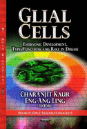 Glial Cells: Embryonic Development, Types / Functions & Role in Disease