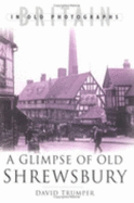 Glimpse of Old Shrewsbury - Trumper, David