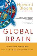 Global Brain: The Evolution of the Mass Mind from the Big Bang to the 21st Century