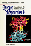 Glycogen Phosphorylase B: Description of the Protein Structure