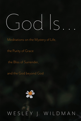 God Is . . .: Meditations on the Mystery of Life, the Purity of Grace, the Bliss of Surrender, and the God Beyond God - Wildman, Wesley J, and Hill, Robert Allan (Foreword by)