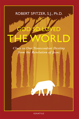 God So Loved the World: Clues to Our Transcendent Destiny from the Revelation of Jesus - Spitzer, Robert, Fr.